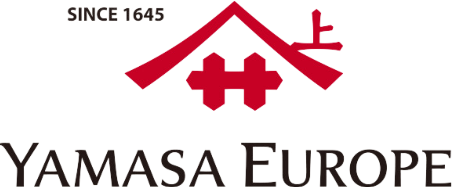 Partner's logo